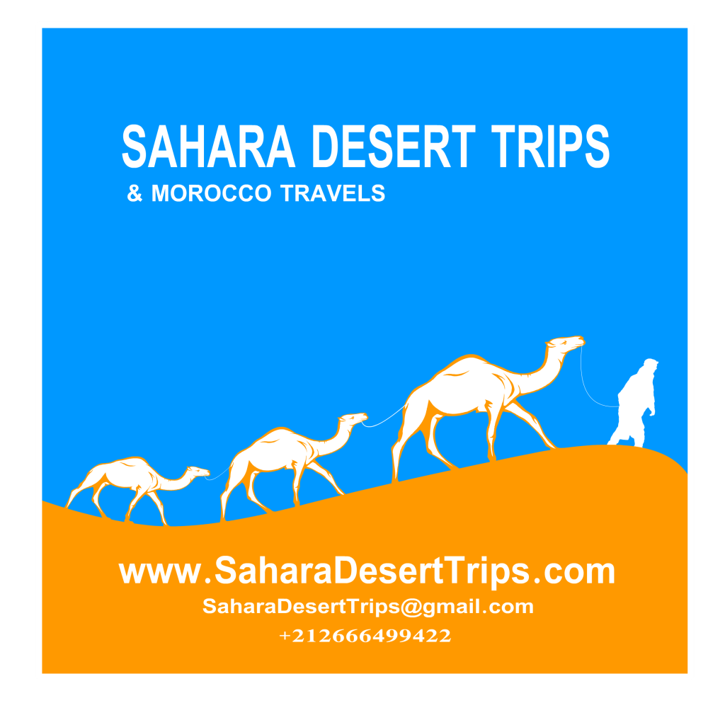 Sahara Desert Trips and Morocco Travels