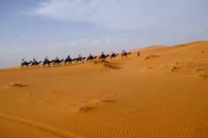 Book A Sahara Desert Trip – Recommended Agency In Morocco - YOUR MOROCCO SHOP